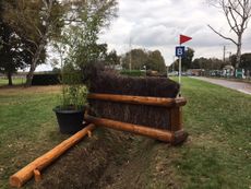 Fence-11bc.jpg