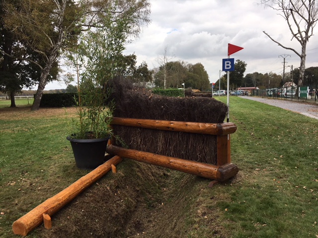 Fence-11bc.jpg