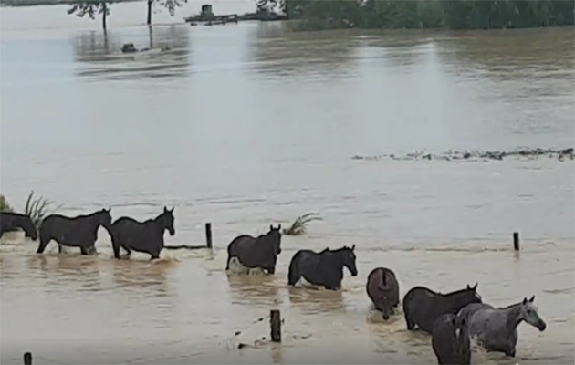 floodedrescue.jpg