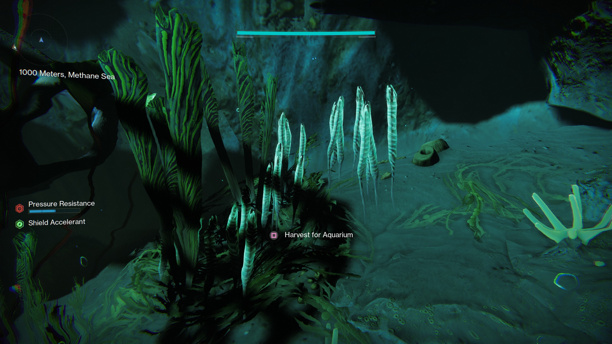 Destiny 2 Deep Dive - Twilight Flora for collection