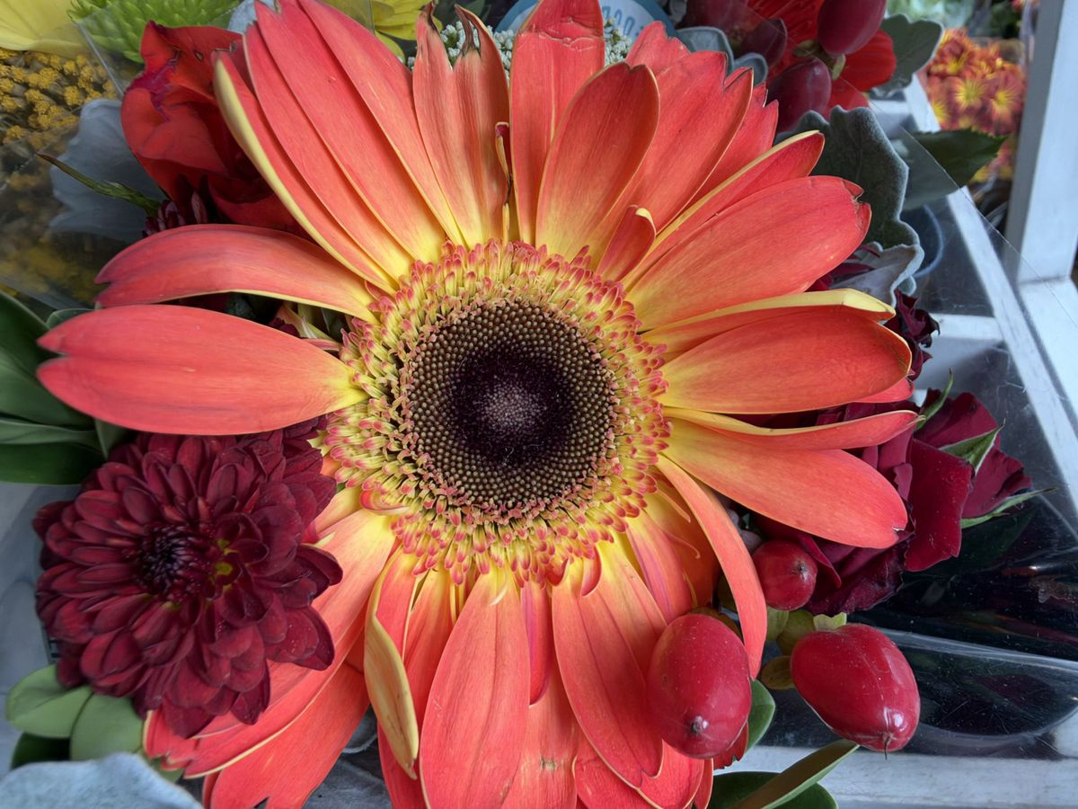 Apple iPhone 18 Pro Max camera sample.