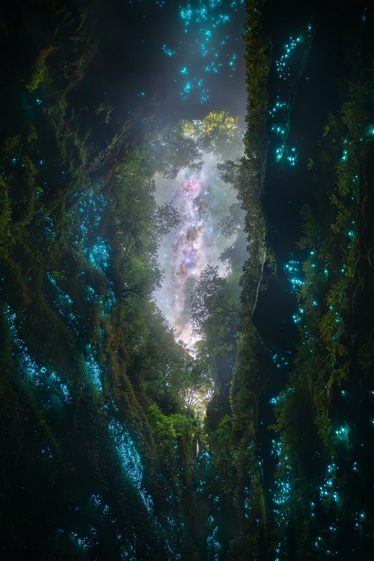 Glow worms illuminate chasm.