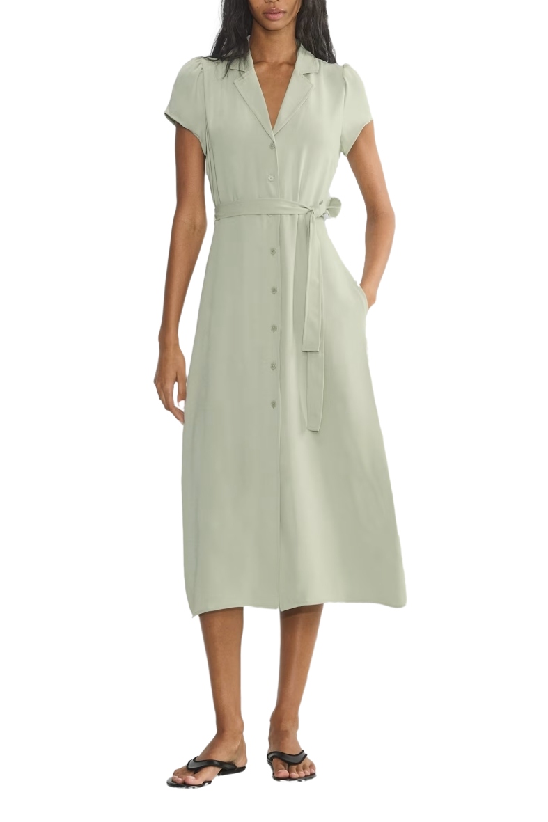 Aritzia, Shirt Dress