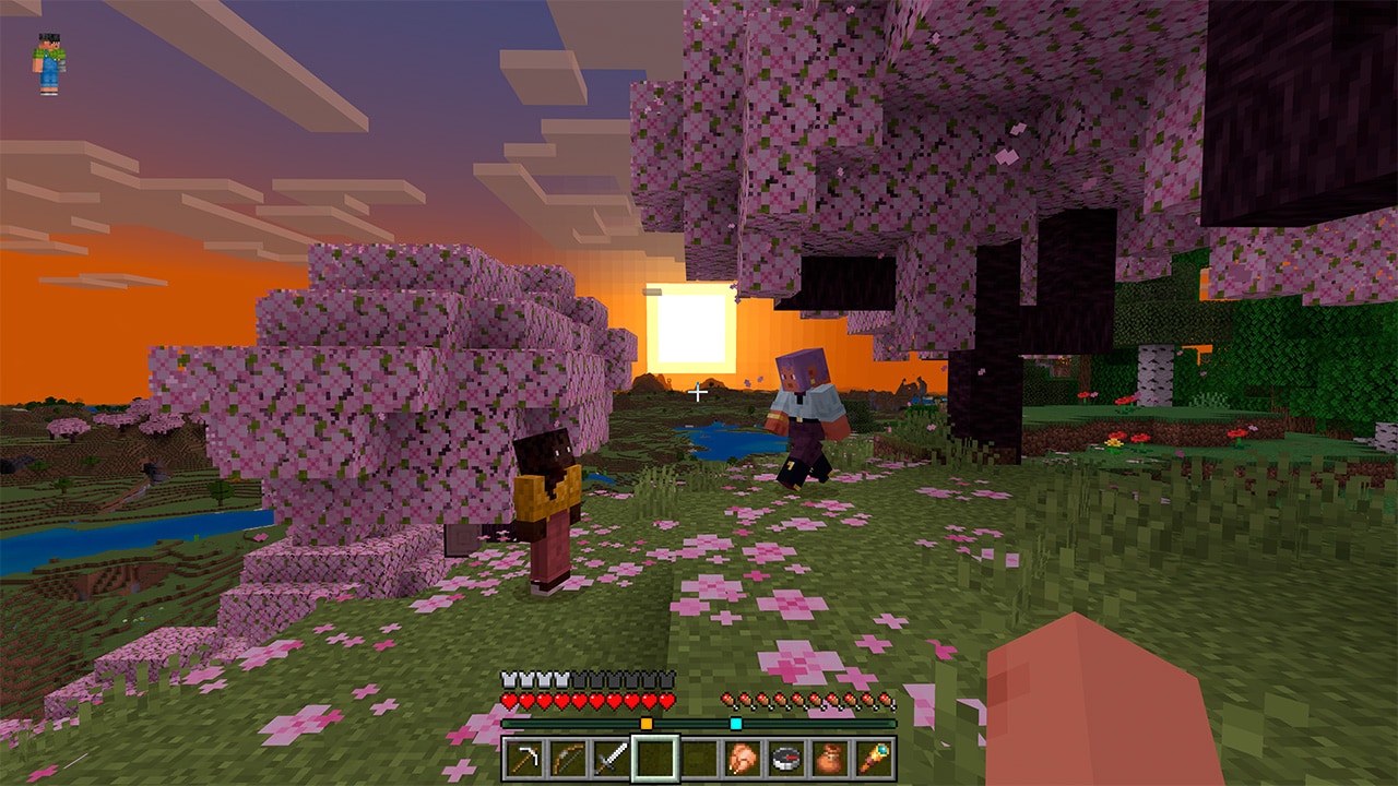 Minecraft screenshot with two characters underneath cherry blossom trees