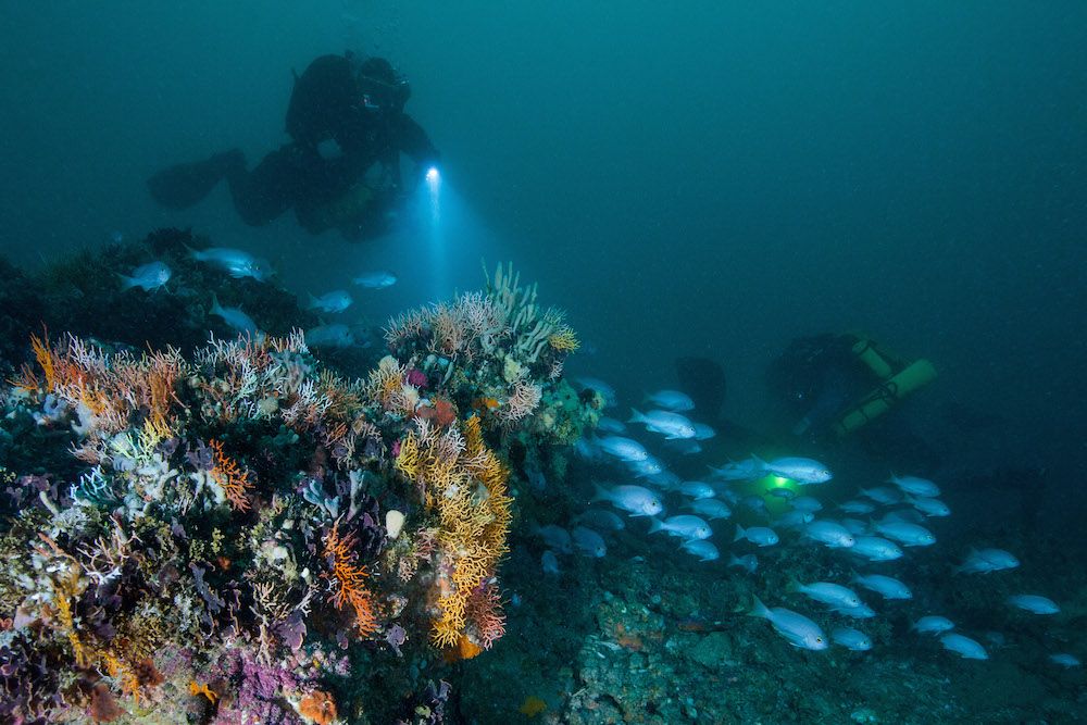 drowned apostles in victoria