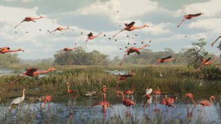 Grand Theft Auto 6 screenshot showing flamingos and alligators in a marshy area