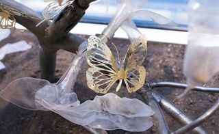 A gold butterfly on glass branches with lace leaves.