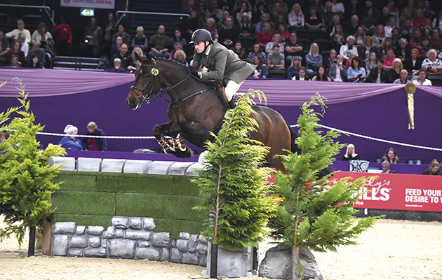 HorseNo559_HOYSPN15_48916.jpg