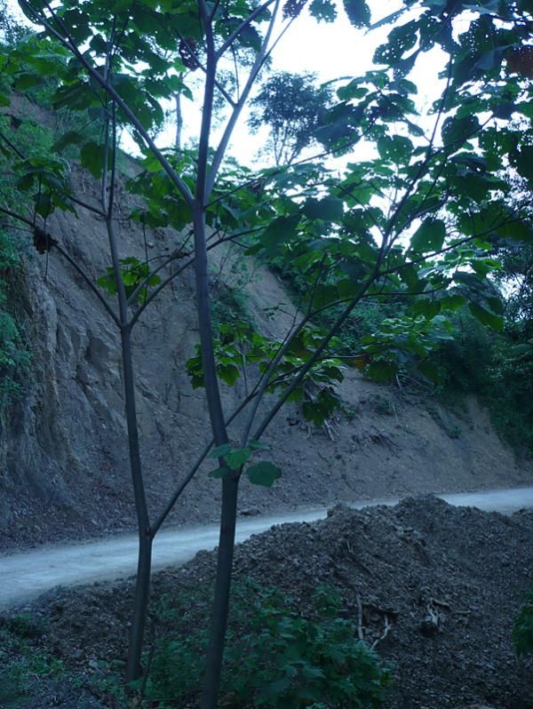 Last week's storms caused a lot of damage in the form of landslides and deaths.