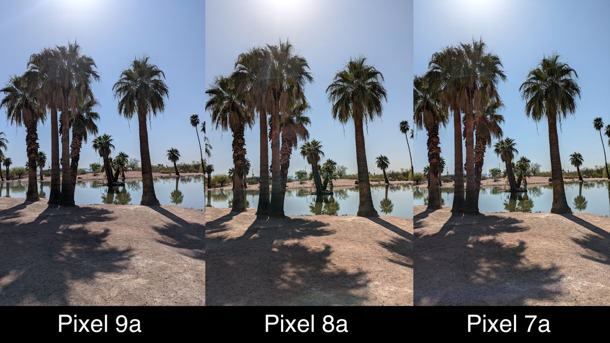 Camera samples comparing the Google Pixel 9a to the Pixel 8a and Pixel 7a.