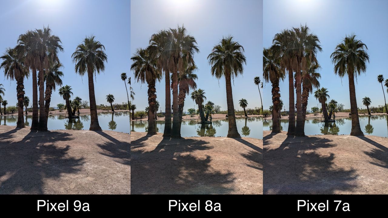 Camera samples comparing the Google Pixel 9a to the Pixel 8a and Pixel 7a.