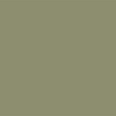 Olive green paint from Farrow & Ball