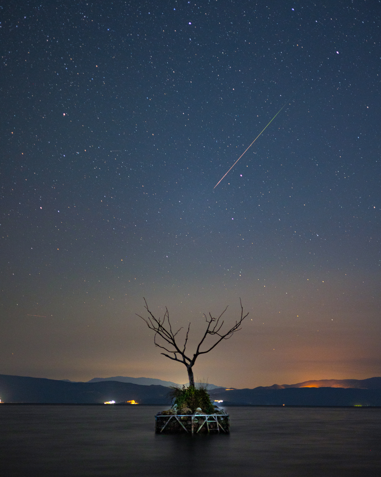 Bir gölün ortasındaki tek bir ağacın üzerinde bir Perseid meteor yağmuru gökyüzüne doğru ilerliyor.