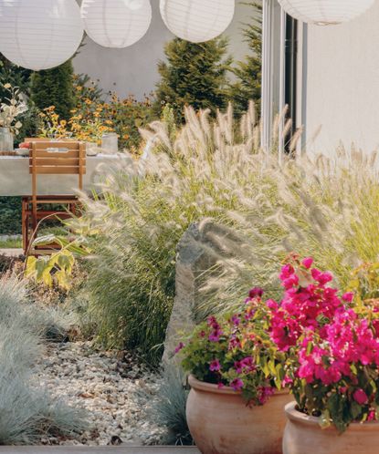 This jewel-toned trend will fill your garden with color | Livingetc