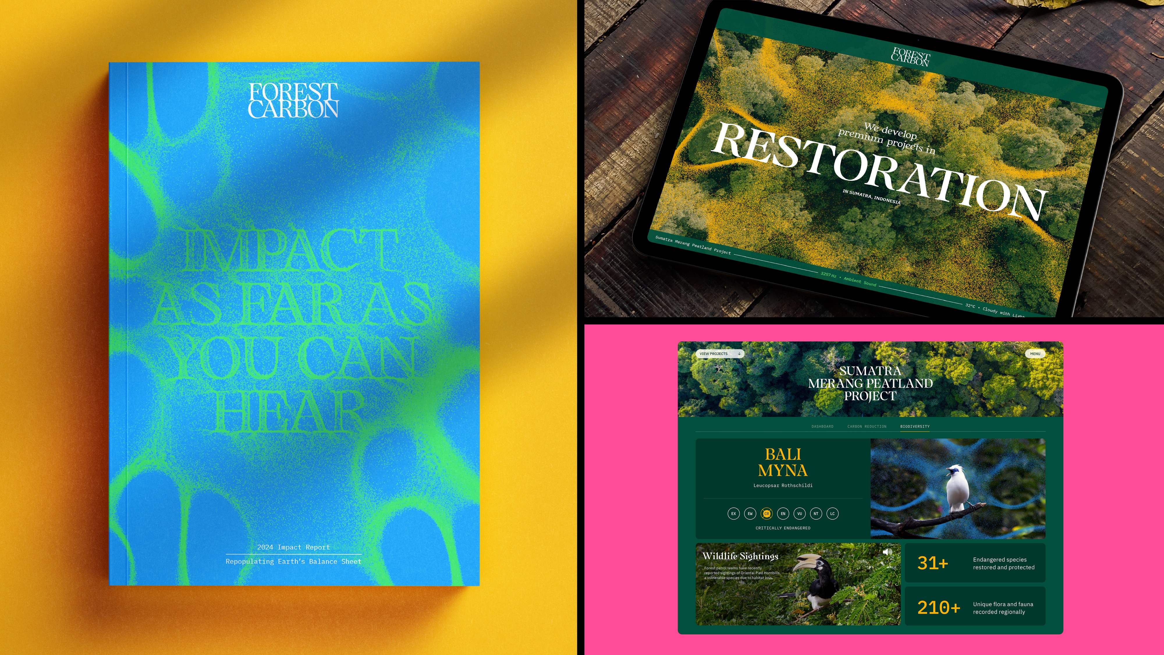 Forest Carbon project