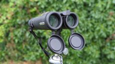 Binoculars with green foliage backdrop