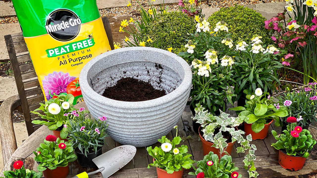 Miracle-Gro compost in garden 