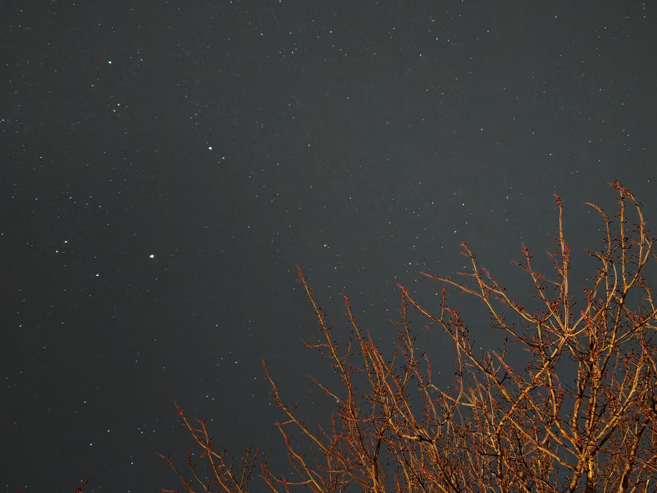 OnePlus 13 astrophotography sample.
