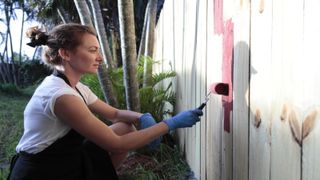 How to paint a fence