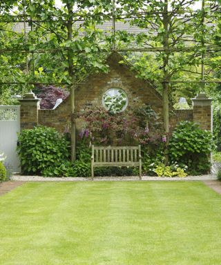 Short cut crass in a long garden with bench