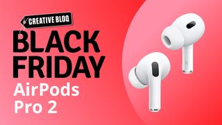 The 2nd  gen AirPods Pro connected  a leafage   with Black Friday text. 