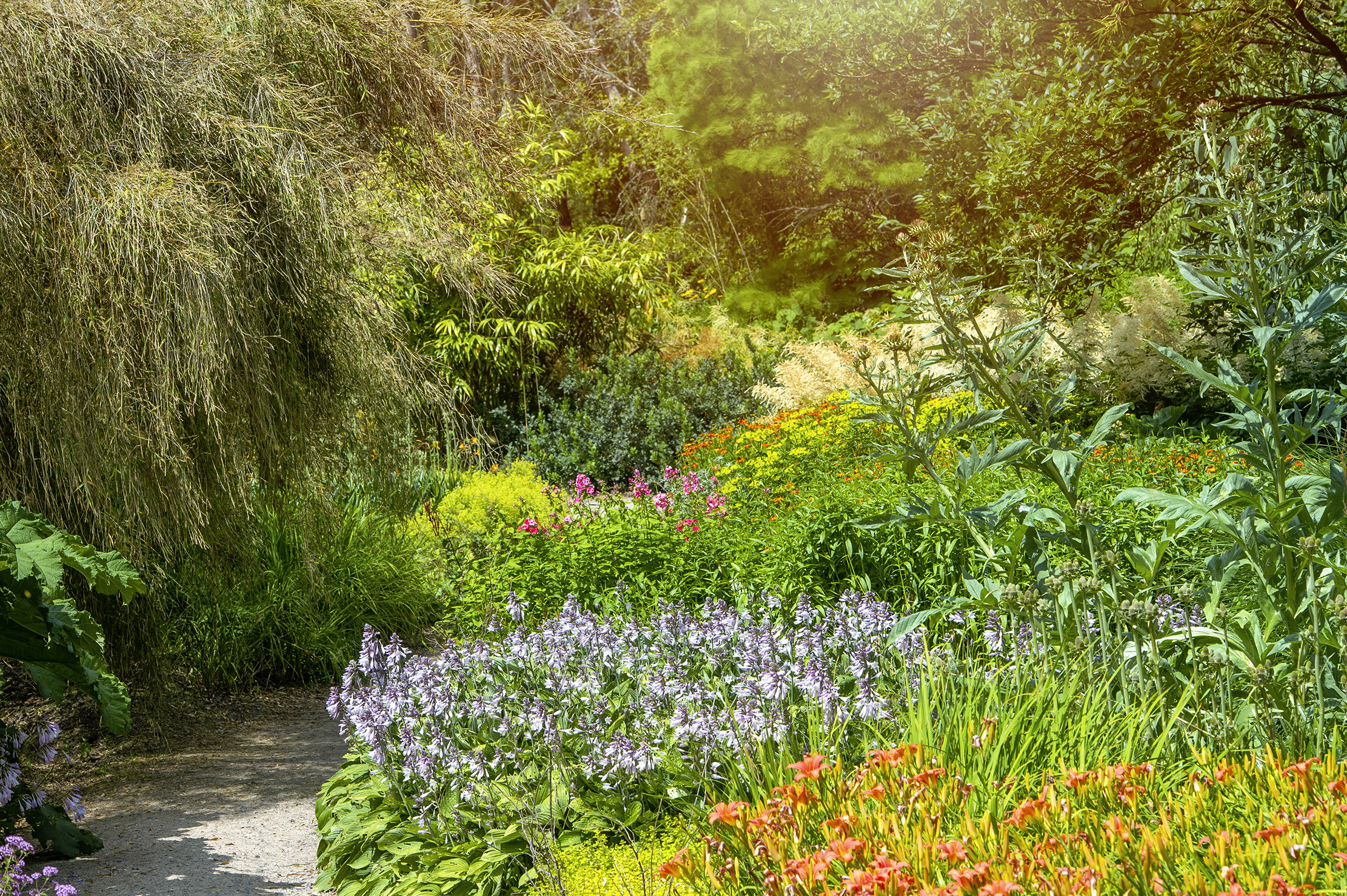 garden
