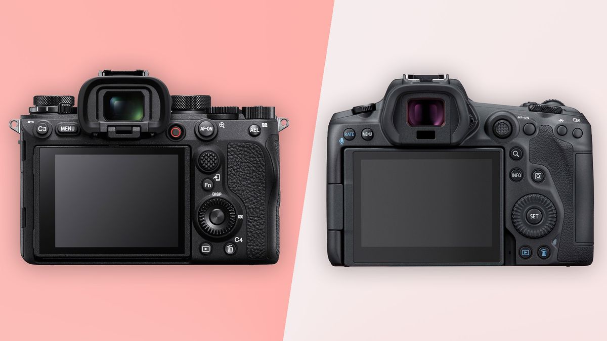 Sony A1 vs Canon EOS R5 which mirrorless camera wins the battle of the hybrids? TechRadar