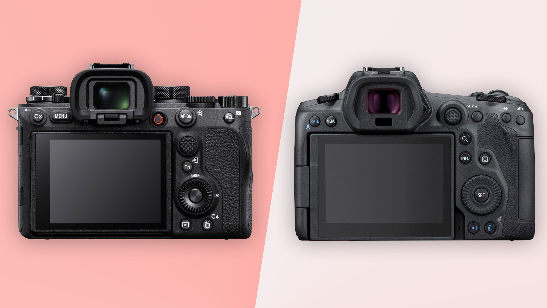 Sony A1 vs Canon EOS R5