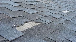 The shingles on a roof with some chipped and damaged