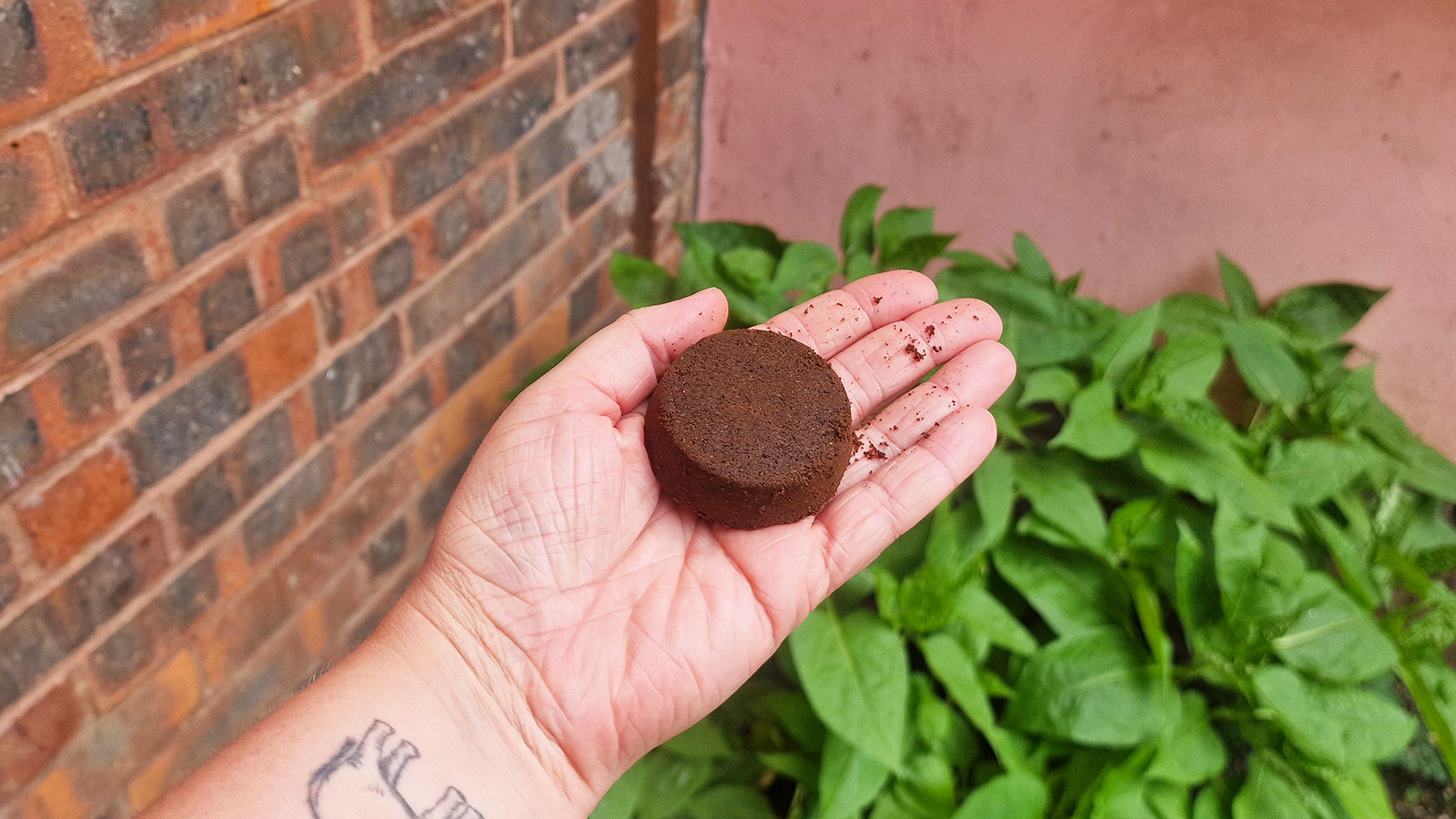 Used coffee puck in hand