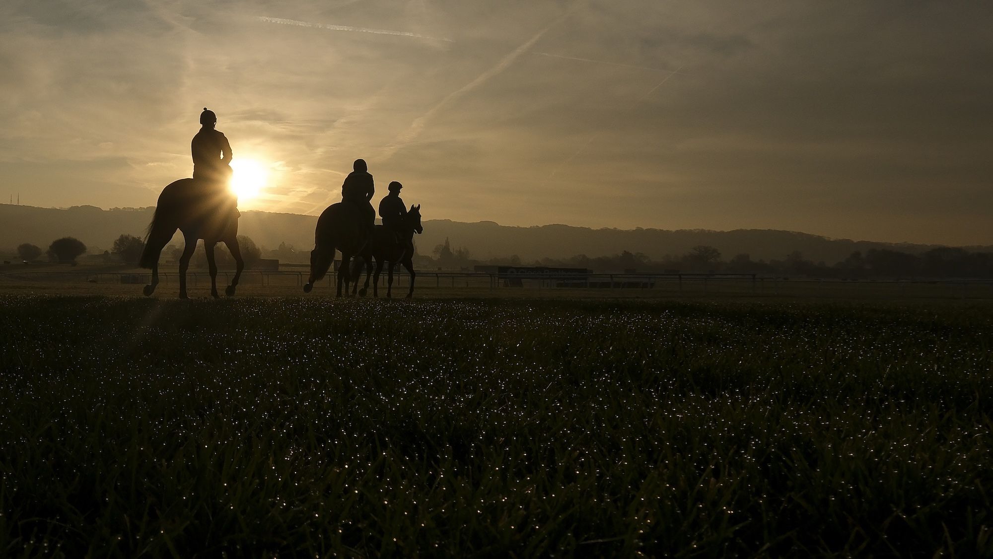 New approval scheme to help racehorses move on to new careers