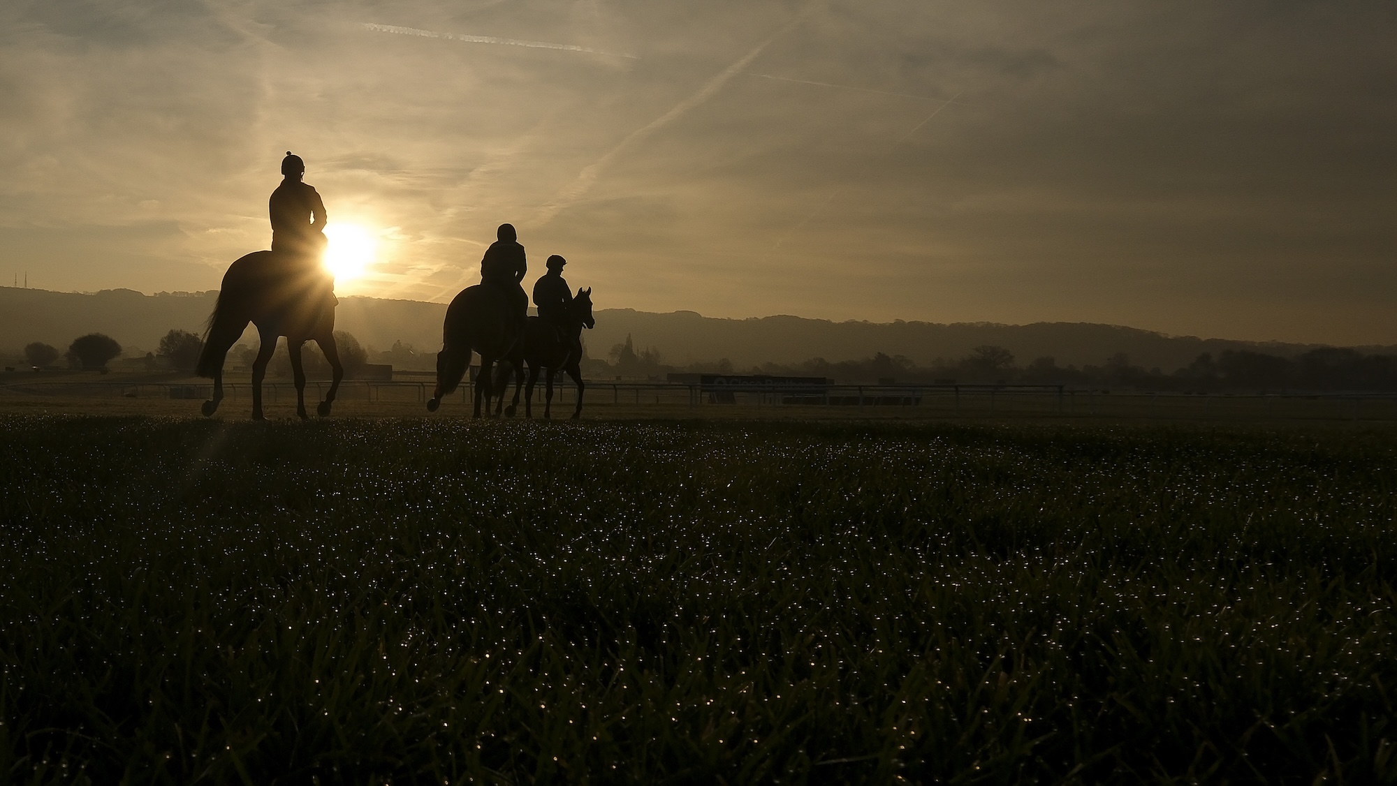 Library image of horses at sunrise. Photo by Alan Crowhurst/Getty Images