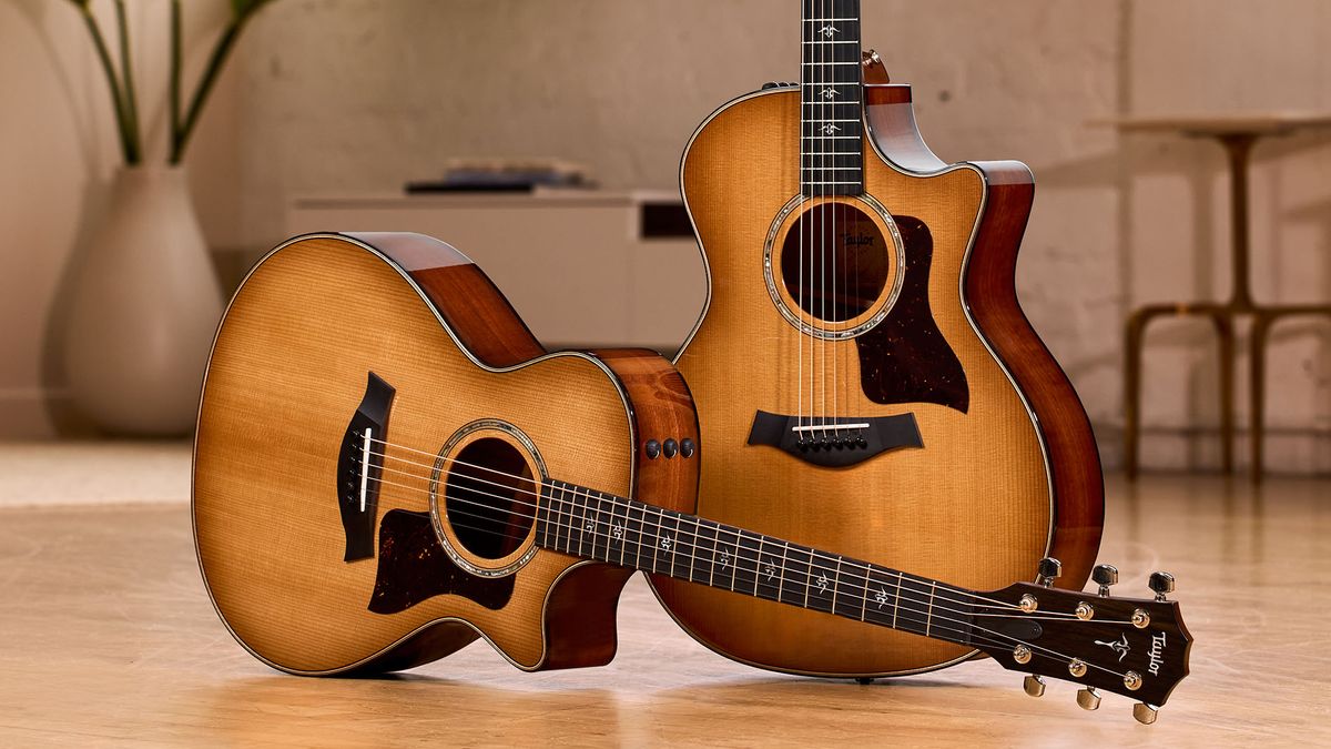 Taylor revamps two 500 Series acoustics with an all-new tonewood: Urban Ironbark