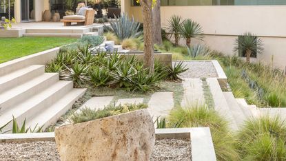 a backyard with groundcover planted path