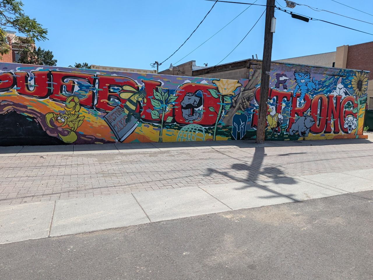Google Pixel 11 Pro XL camera samples