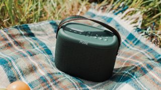 Pure Woodland Portable speaker
