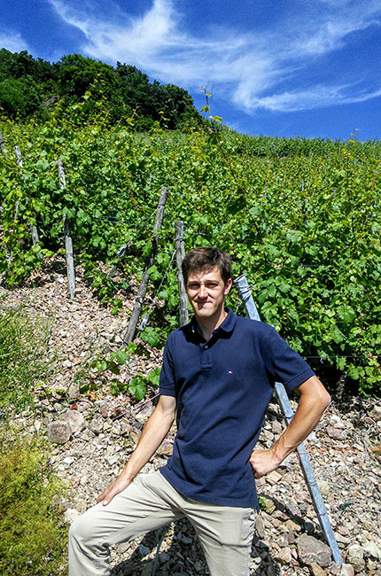 Alexandre Schoffit, Alsace wine