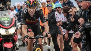 Wout van Aert riding on Mont Ventoux aboard his Cervelo R5