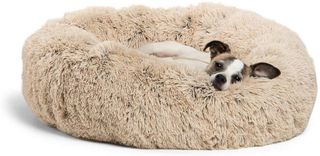 A small dog lying on the Best Friends by Sheri Luxury Shag Faux Fur Donut Cuddler Dog Bed