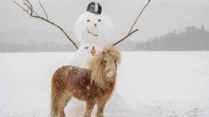 Dancer-Christmas-Card.jpg