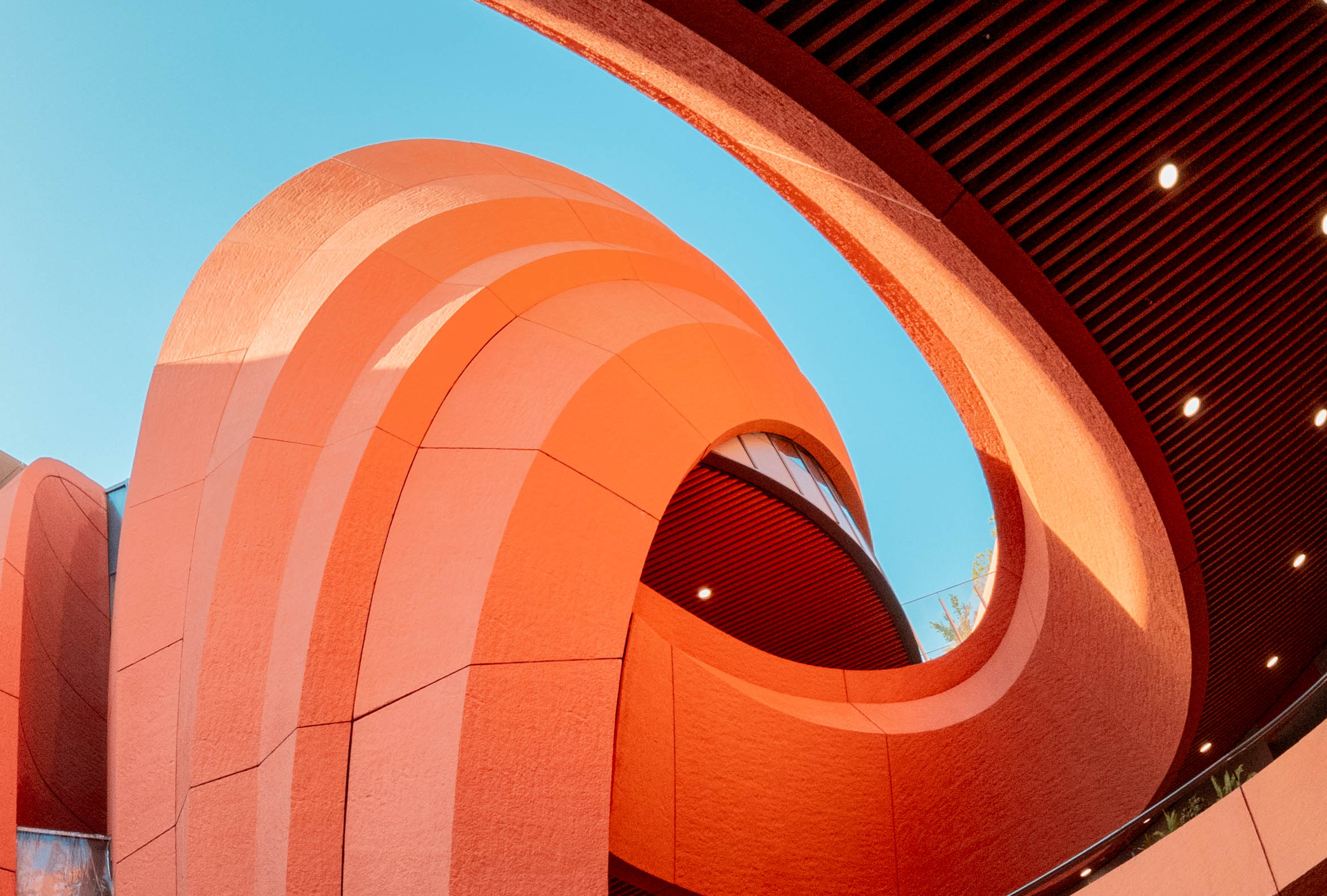 An image sample from the Laowa 8-15mm f/2.8