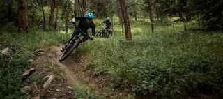 Two mountain bikers ride a trail through the woods