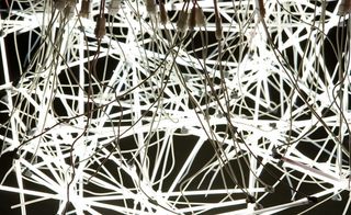 A closer look at the many white, fluorescent bulbs and their cables. It resembles a neuron network.