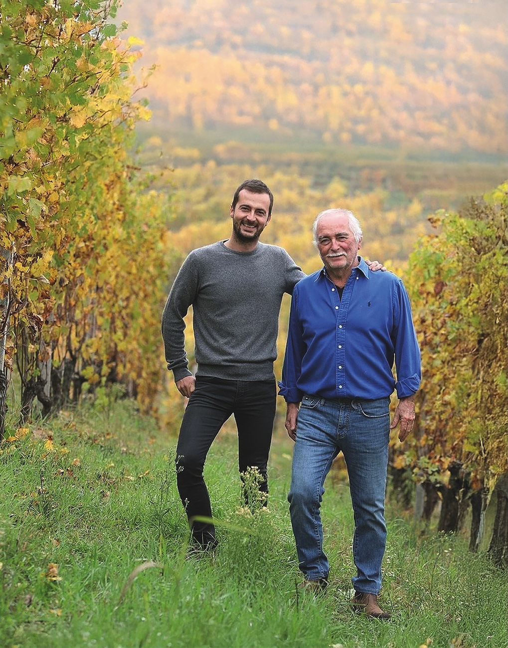 Winemakers in a vineyard