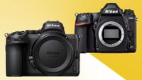 Nikon D780 & Z5 firmware update