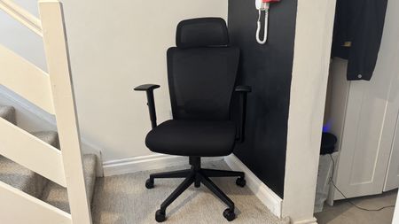 Flexispot BS3 / OC3 office chair (in black)
