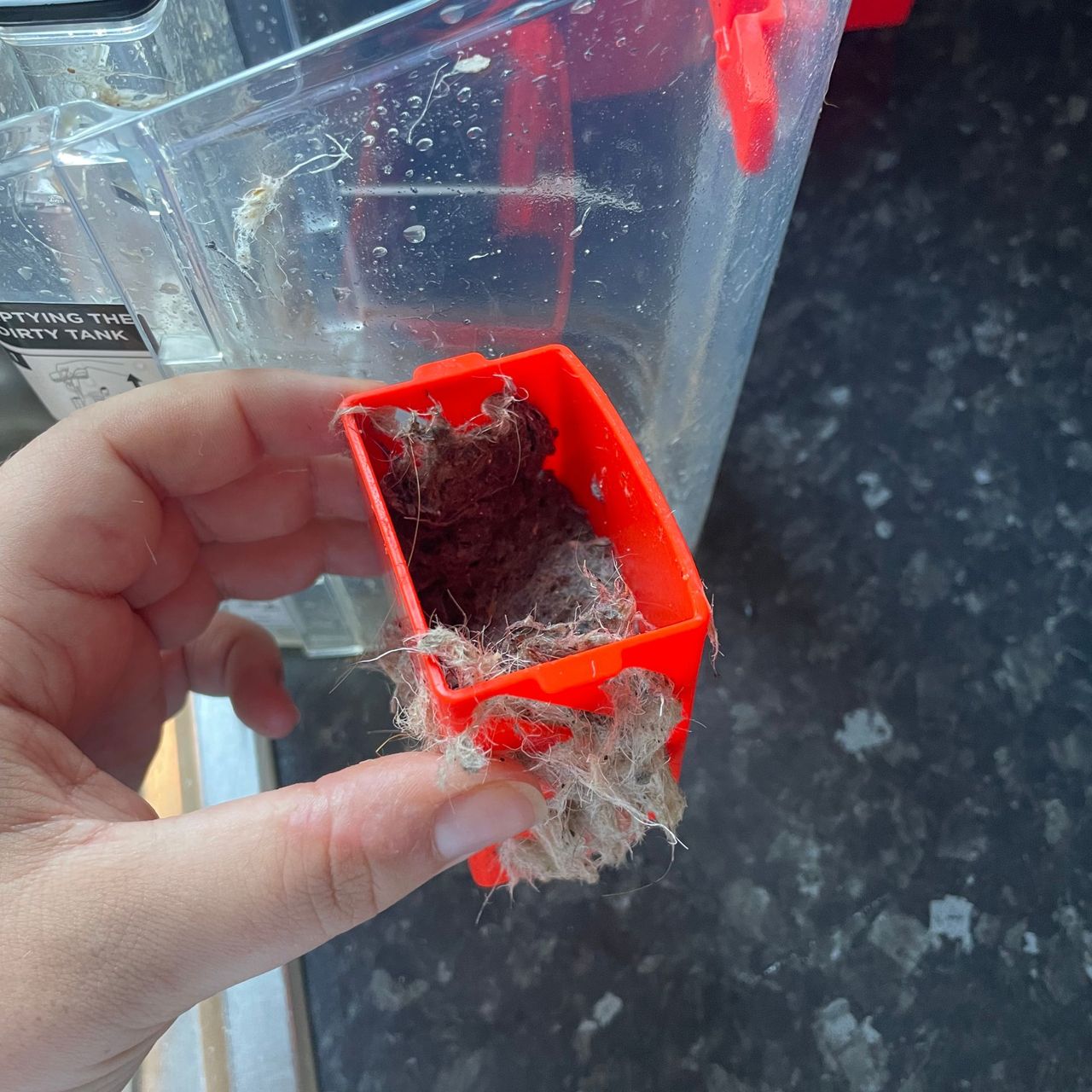 Hair stuck in strainer of the Shark CarpetForce Upright Carpet Cleaner