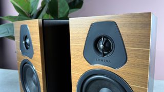 Sonus Faber Lumina II on a stone surface