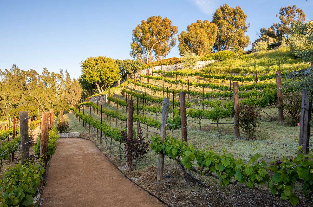 Vineyards at Los Angeles property listed for sale by Sotheby's International Realty