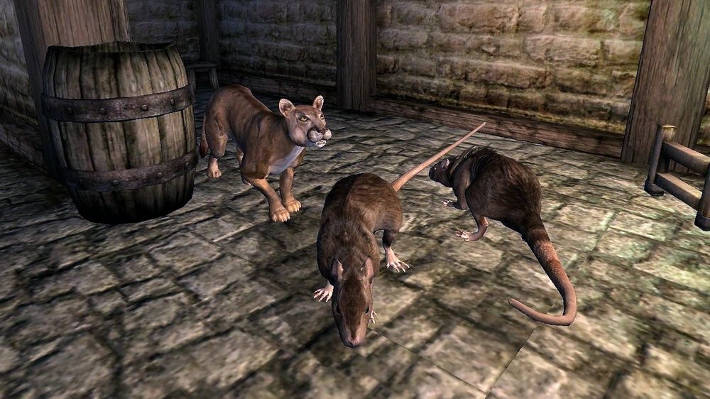 Swearing rats mod for Oblivion puts its vermin in permanent
meltdown mode